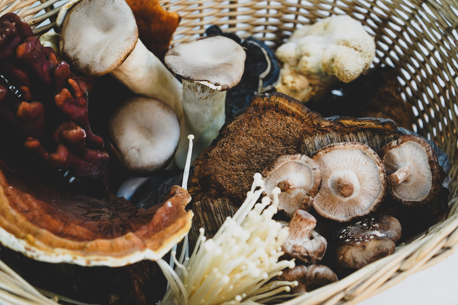 Korb mit verschiedenen frischen und getrockneten Vitalpilzen, darunter Shiitake, Enoki, Reishi und weitere Sorten, natürliche Vielfalt an Heilpilzen