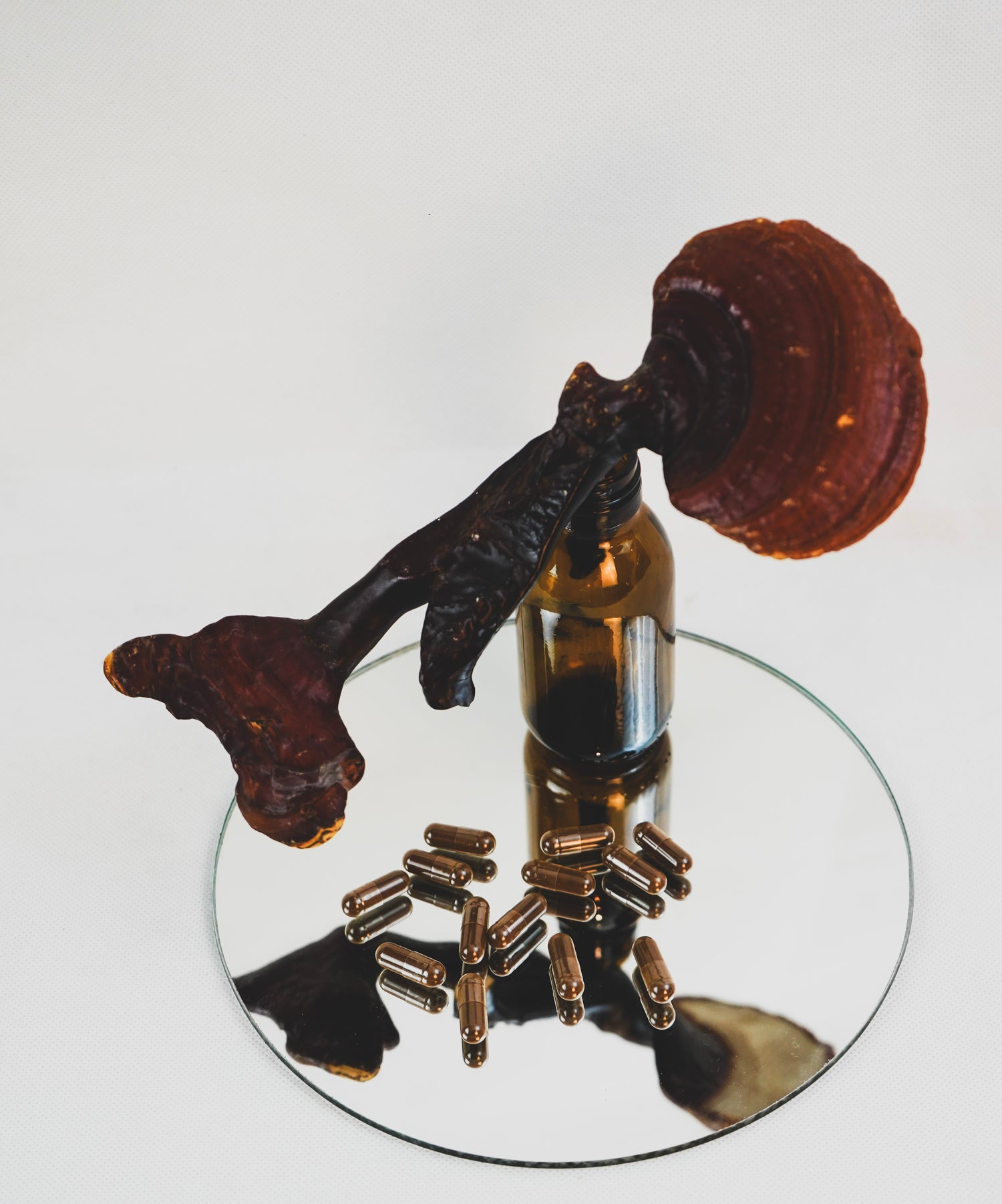 Reishi-Pilz (Ganoderma lucidum) auf brauner Glasflasche, Spiegel und braune Vitalpilz-Kapseln, natürliche Produktpräsentation in moderner Komposition