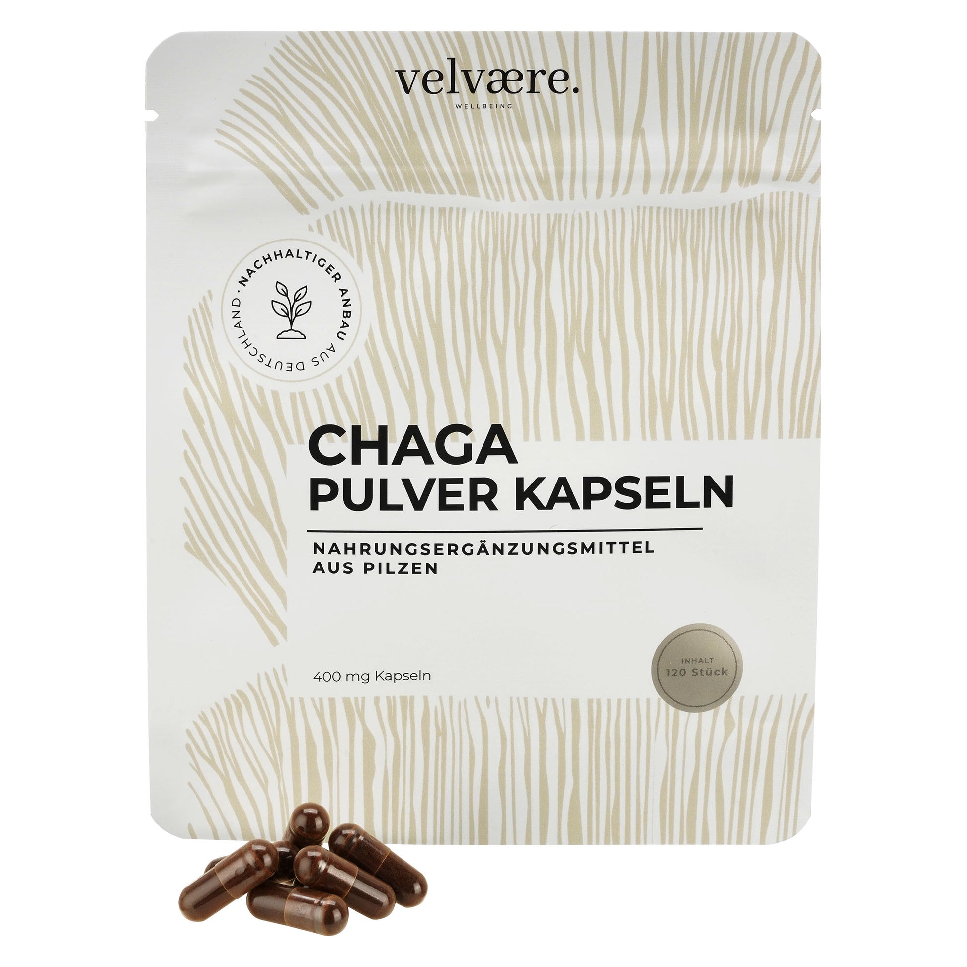 Chaga Pulver Kapseln von Velvaere – Beutel mit 120 Kapseln, Chaga-Pilz Kapseln davor