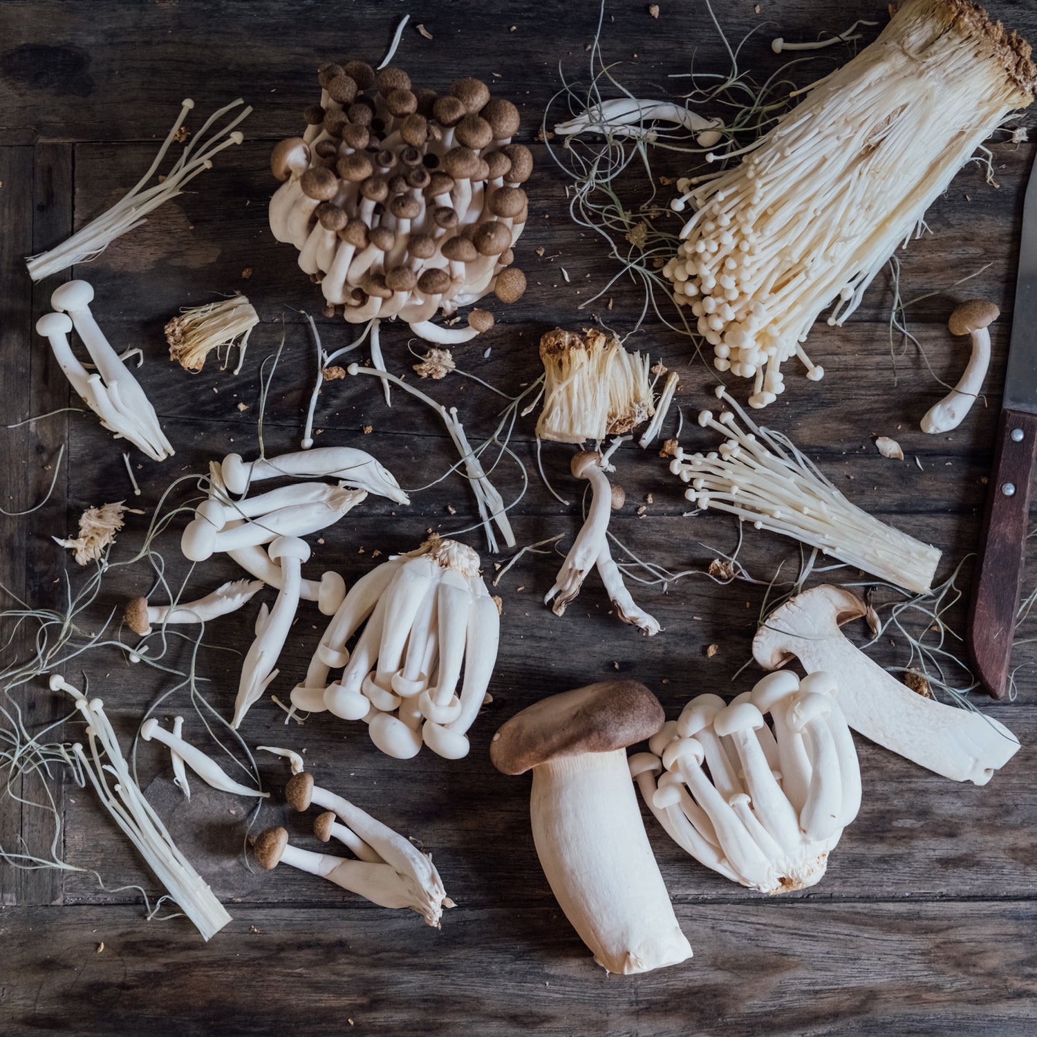 Verschiedene frische Vitalpilze wie Enoki, Kräuterseitling und Austernpilz auf einem rustikalen Holztisch, daneben ein Messer, Pilze zum Kochen vorbereitet