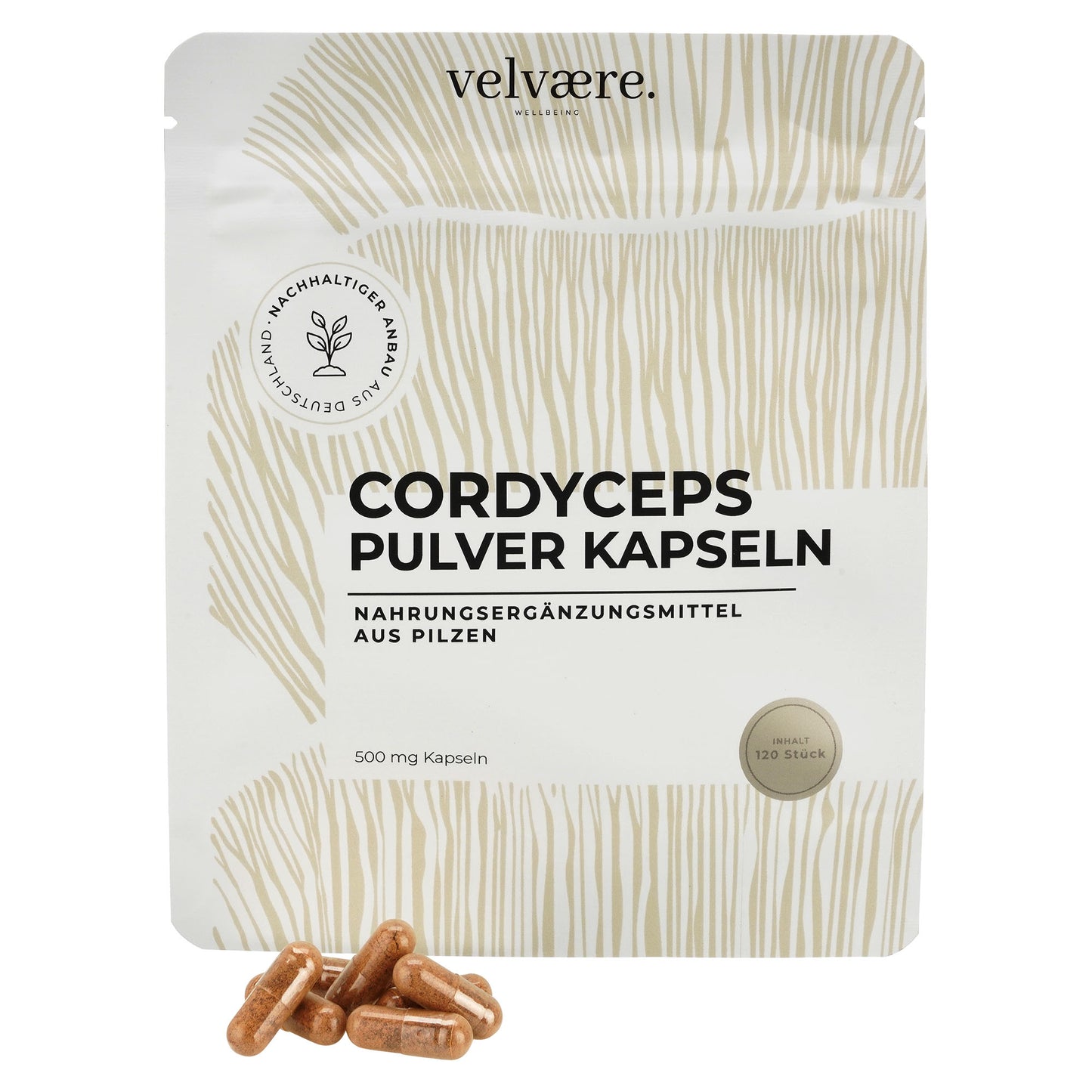 Cordyceps Pulver Kapseln – Verpackung mit 120 Kapseln und braunen Kapseln im Vordergrund