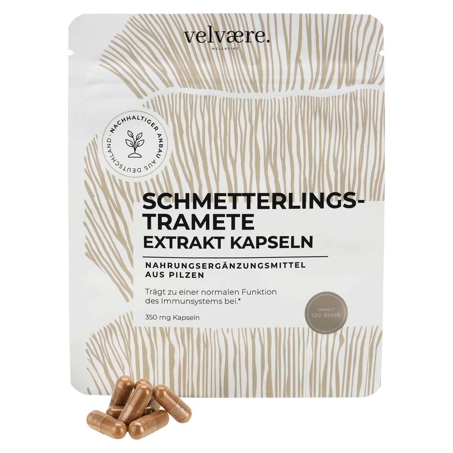 Velvaere Schmetterlingstramete Extrakt Kapseln – 350 mg, 120 Stück, vegan, aus nachhaltigem Anbau, Nahrungsergänzung aus Pilzen